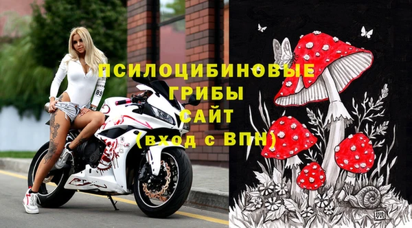 амф Абинск