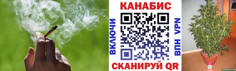 Бошки Шишки индика Шилка